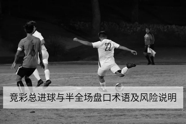 竞彩总进球与半全场盘口术语及风险说明